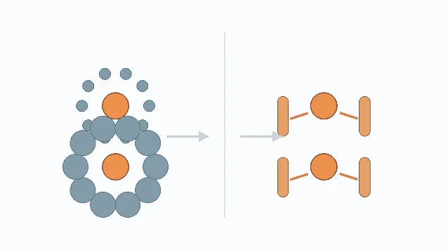 Schematic of Ebbinghaus illusion and grip aperture