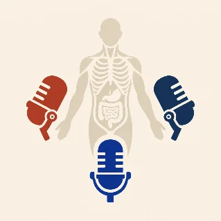 Anatomy in Three