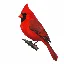 Bird Card