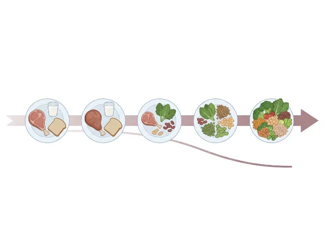 A conceptual illustration showing a gradual dietary transition from an omnivorous plate on the left to a fully plant-based plate on the right, along a horizontal timeline arrow, with a subtle downward curve at the far right suggesting improvement over the long term