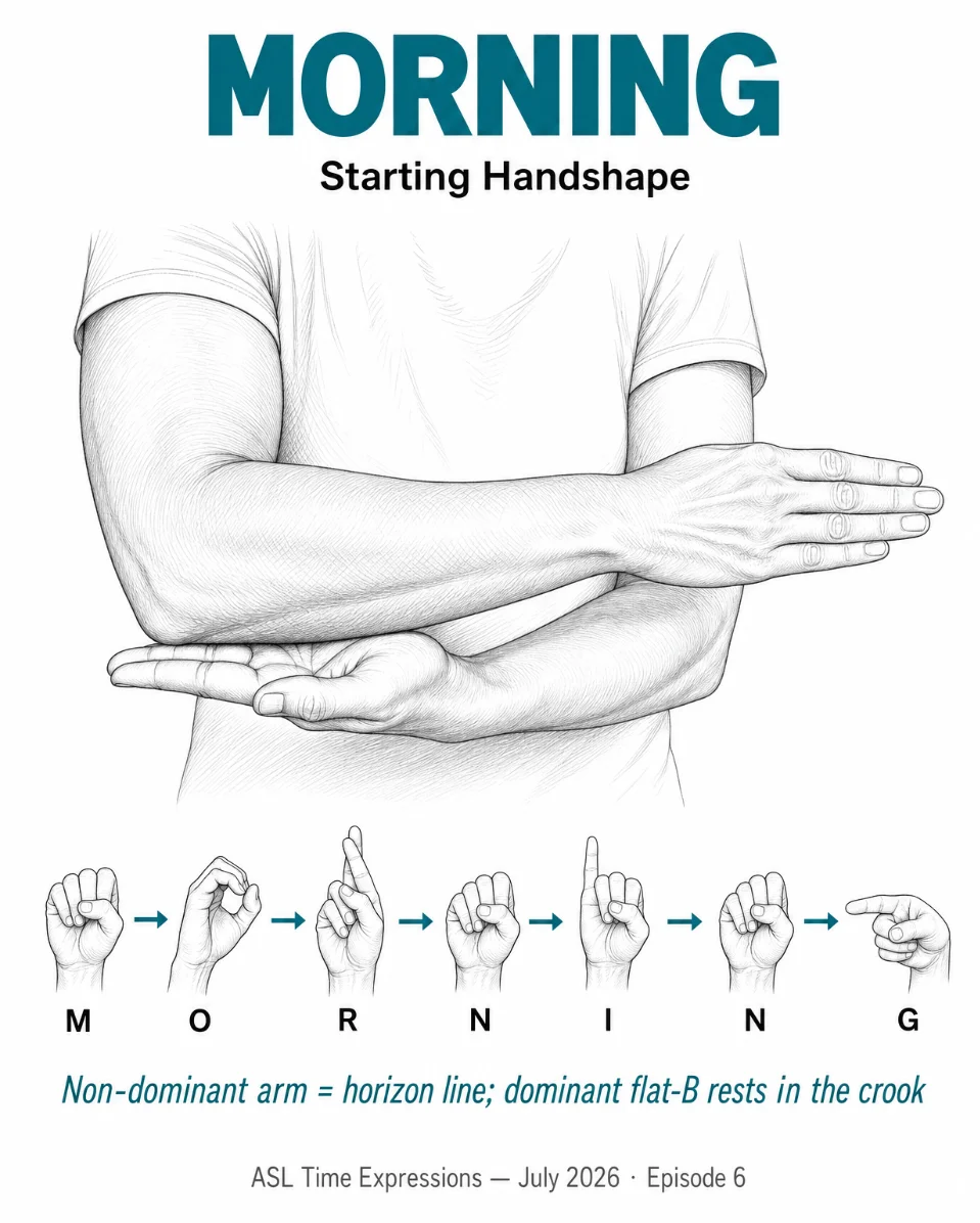 🌅 ASL Sign of the Day: MORNING