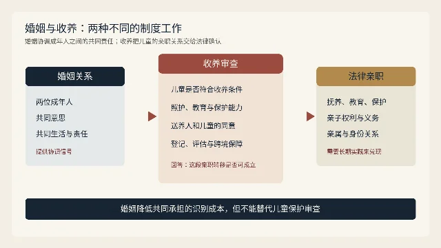 婚姻协调、收养审查与法律亲职的关系示意图