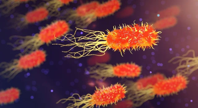 显微镜下的科学研究:实验室环境中的细胞生物学样本分析