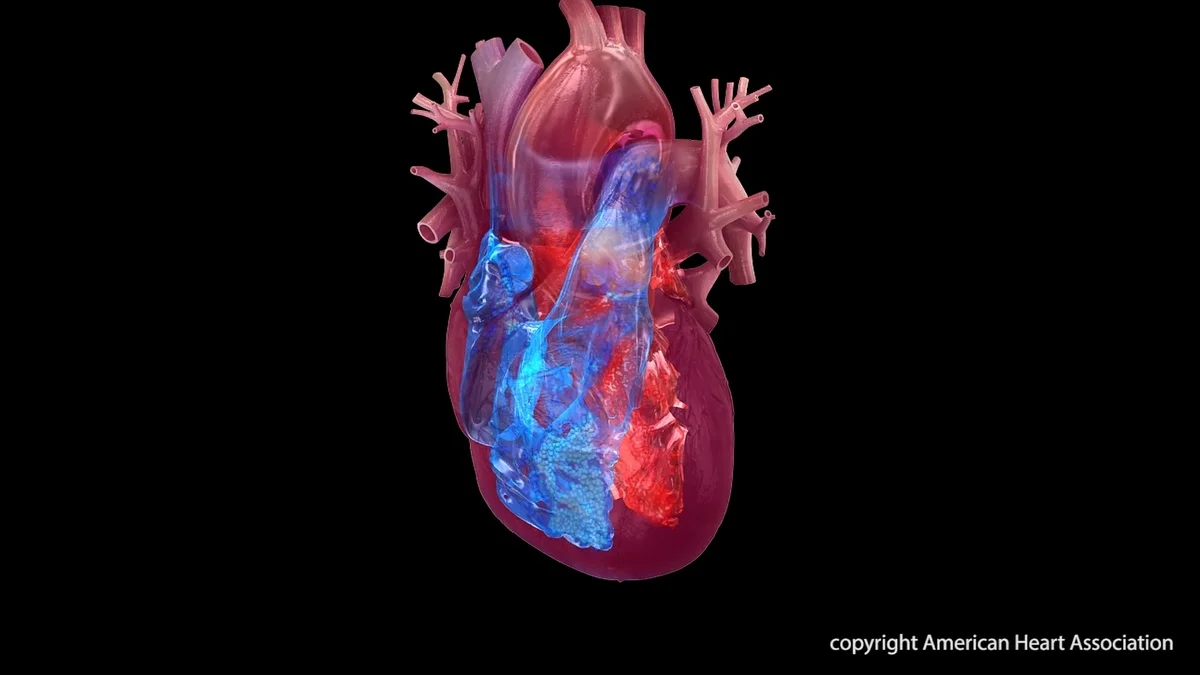 Heart Failure Gets a New Definition