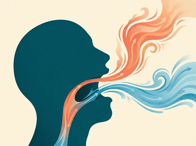 Illustration of airflow and heat exchange during a yawn