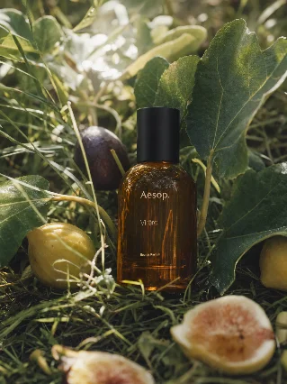 Aesop Virēre｜草木里的琥珀光