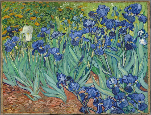 Van Gogh, *Irises*, May 1889, oil on canvas, 71 × 93 cm. Getty Museum, Los Angeles (acc. 90.PA.20)