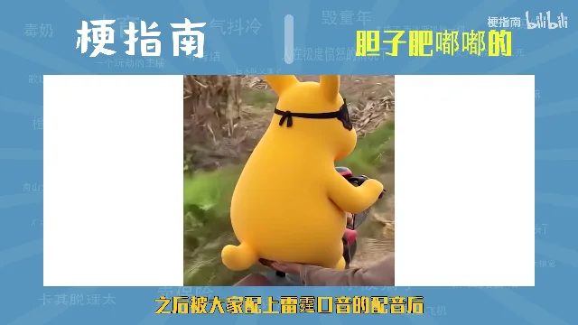 黄色袋鼠形象出现在户外画面中,底部字幕说明配上了雷霆口音的配音