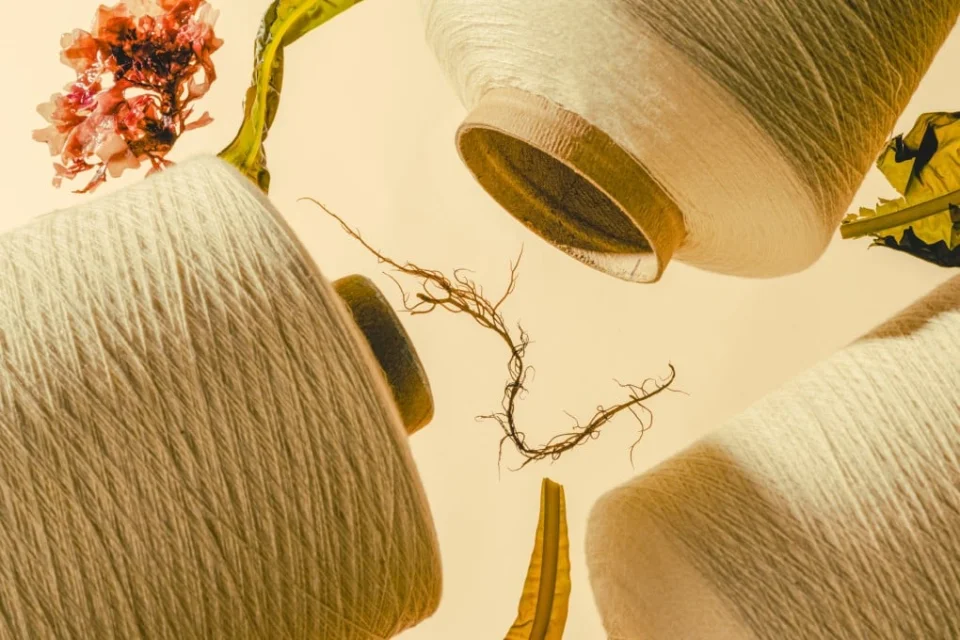 Three Shutdowns: Seaweed Yarn, Bitcoin DeFi, and a Penguin Game