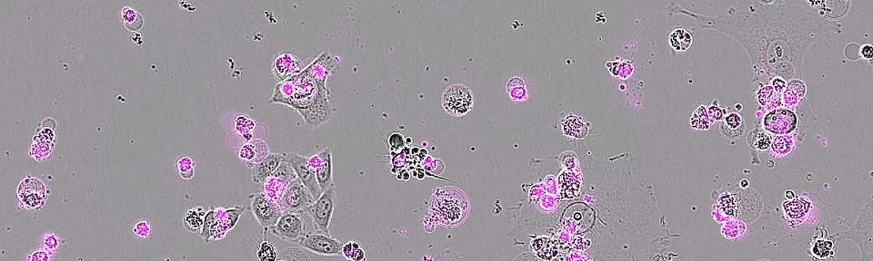 🔬 科技早报 0509|这5个突破,昨天真的发生了