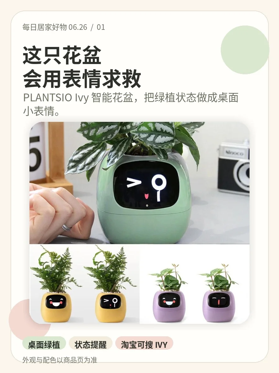 会用表情求救的花盆：Ivy 智能花盆