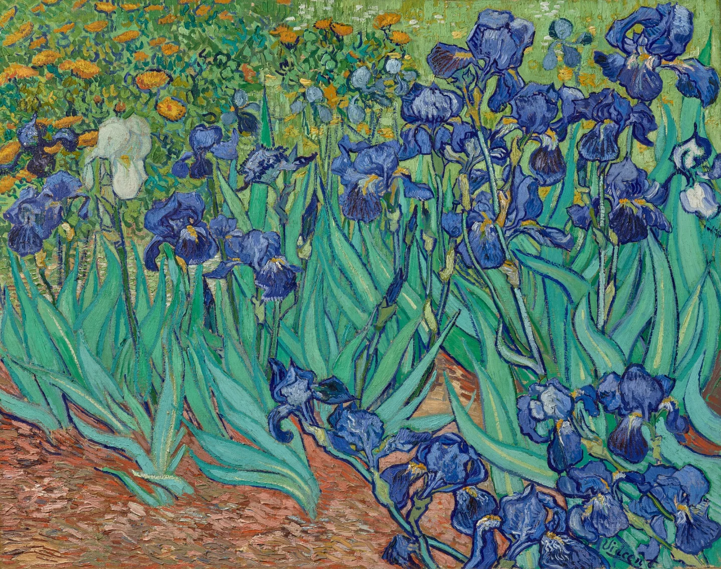 Violet all along: Van Gogh's Irises and the 135-year secret the Getty finally proved