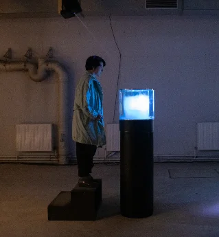 Living pigments: five bio art works where organisms do the making