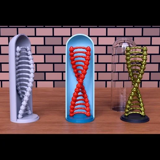 DNA helix dome STL: $2.28, science gift ready